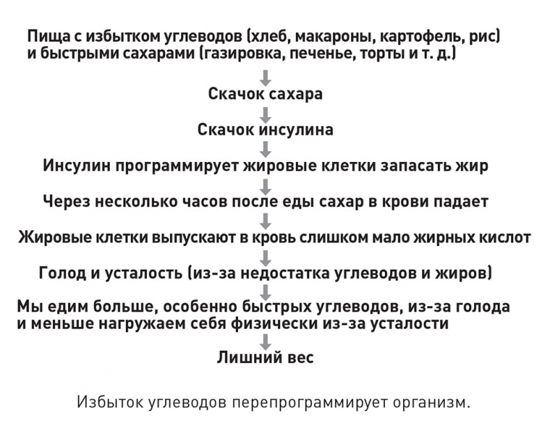 Иллюстрация к книге — Кодекс долголетия. Что заставляет нас стареть, зачем это нужно и как «обмануть» эволюцию: пошаговое руководство [i_030.jpg]