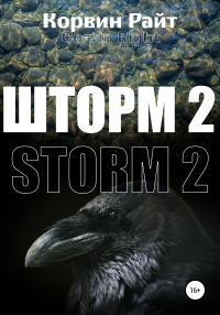 Книга Шторм-2