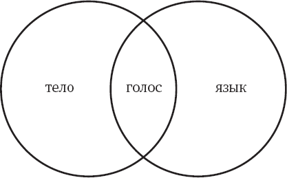 Иллюстрация к книге — Голос и ничего больше [i_003.jpg]
