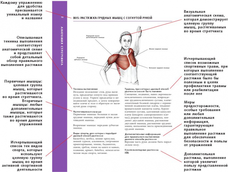 Иллюстрация к книге — Анатомия стретчинга [i_001.jpg]