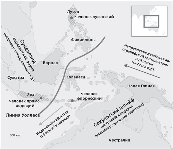 Иллюстрация к книге — Как мы стали людьми. Поиски истоков человечества [i_025.jpg]