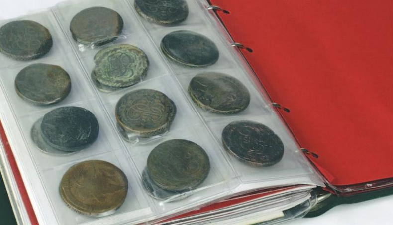 Иллюстрация к книге — Коллекционирование монет для начинающих. Пошаговый гид по нумизматике: от понимания исторической ценности до создания уникальной коллекции [img_277.jpg]