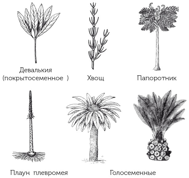 Иллюстрация к книге — Краткая история динозавров [i_084.jpg]