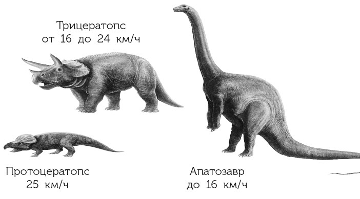 Иллюстрация к книге — Краткая история динозавров [i_092.jpg]