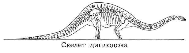 Иллюстрация к книге — Краткая история динозавров [i_112.jpg]