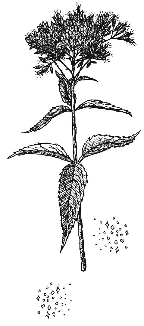 Иллюстрация к книге — Совершенно не обязательные смерти [imgefc19ff31c03429f959a833a92f2e458.jpg]