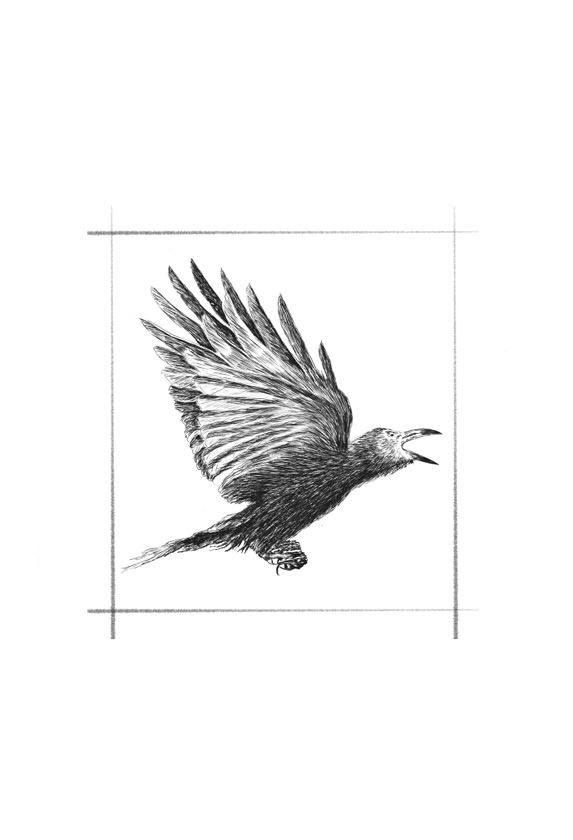 Иллюстрация к книге — Ведьма [i_108.jpg]