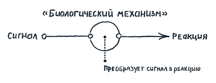 Иллюстрация к книге — Просто о мозге. Как знания о мозге помогают получить больше [i_002.jpg]