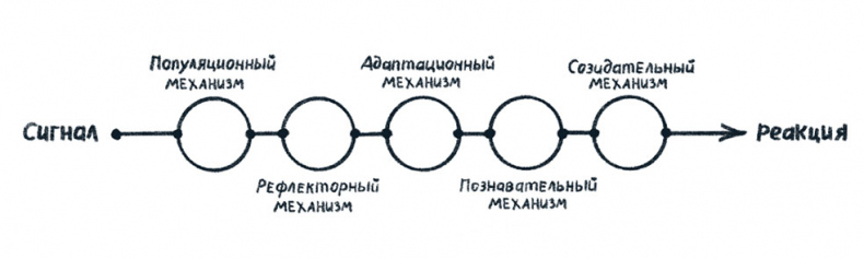 Иллюстрация к книге — Просто о мозге. Как знания о мозге помогают получить больше [i_004.jpg]