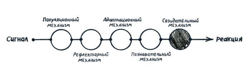 Иллюстрация к книге — Просто о мозге. Как знания о мозге помогают получить больше [i_008.jpg]