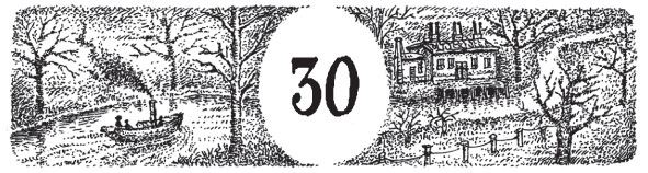 Иллюстрация к книге — Новые странствия Салли Джонс [i_053.jpg]