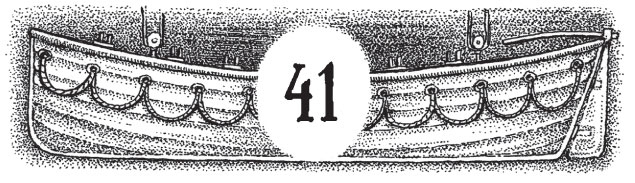 Иллюстрация к книге — Новые странствия Салли Джонс [i_065.jpg]