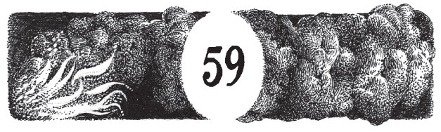 Иллюстрация к книге — Новые странствия Салли Джонс [i_083.jpg]