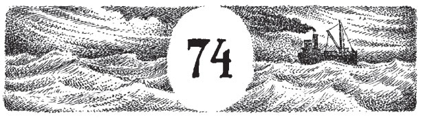 Иллюстрация к книге — Новые странствия Салли Джонс [i_099.jpg]