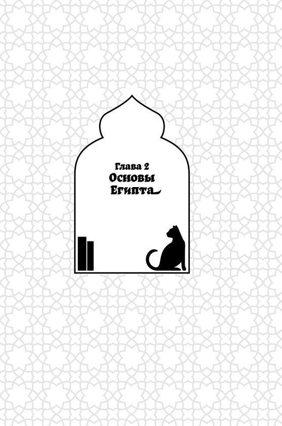 Иллюстрация к книге — Каирские хроники хозяйки книжного магазина [i_004.jpg]