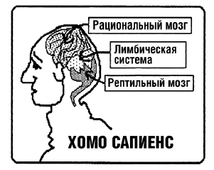 Иллюстрация к книге — Тренинг уверенного общения. 56 упражнений, которые помогут прокачать навыки коммуникации [i_074.jpg]