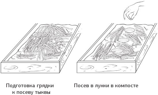 Иллюстрация к книге — Как вырастить свою рассаду и разбить правильные грядки [i_037.jpg]