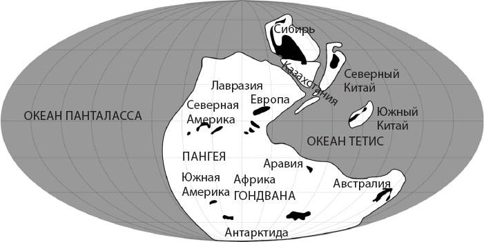 Иллюстрация к книге — Происхождение. Как Земля создала нас [i_023.jpg]