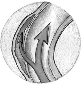 Иллюстрация к книге — Хрупкий мозг. Инсульту не быть? [img_28.jpg]