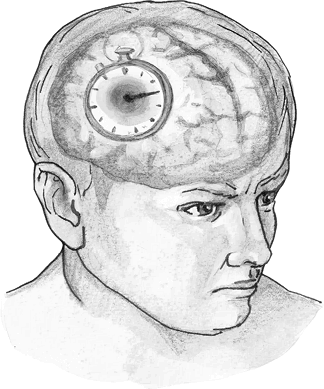 Иллюстрация к книге — Хрупкий мозг. Инсульту не быть? [img_73.jpg]
