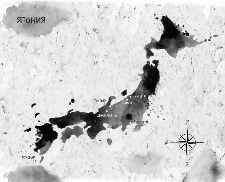 Иллюстрация к книге — Ночь шинигами [i_002.jpg]