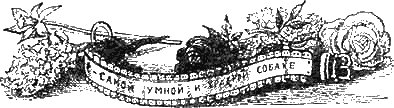 Иллюстрация к книге — Доктор Айболит [g45.jpg]