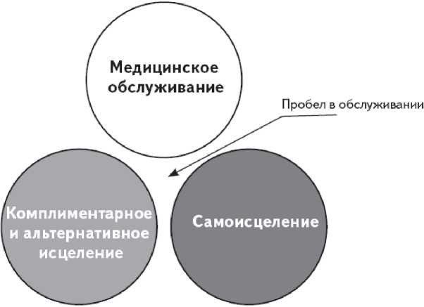 Иллюстрация к книге — Как работает исцеление. Как настроить внутренние ресурсы организма на выздоровление [image17.jpg]