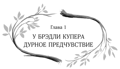 Иллюстрация к книге — Девочка в деревянных доспехах [i_002.jpg]