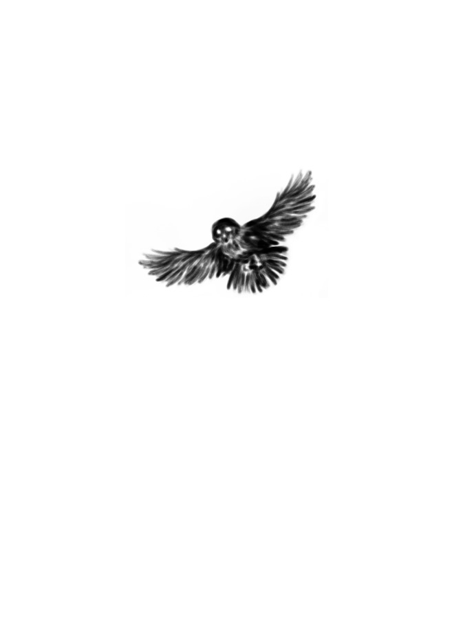 Иллюстрация к книге — Моя темная королева [i_001.jpg]