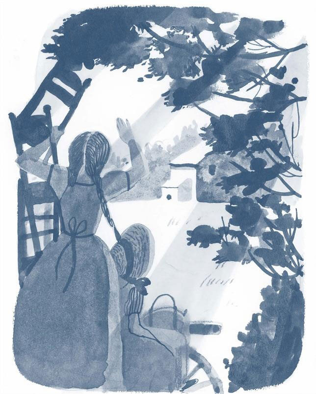 Иллюстрация к книге — История Мэй. Маленькой Женщины [i_003.jpg]