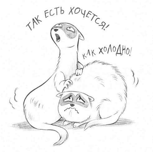 Иллюстрация к книге — Не кусаться! [i_062.jpg]