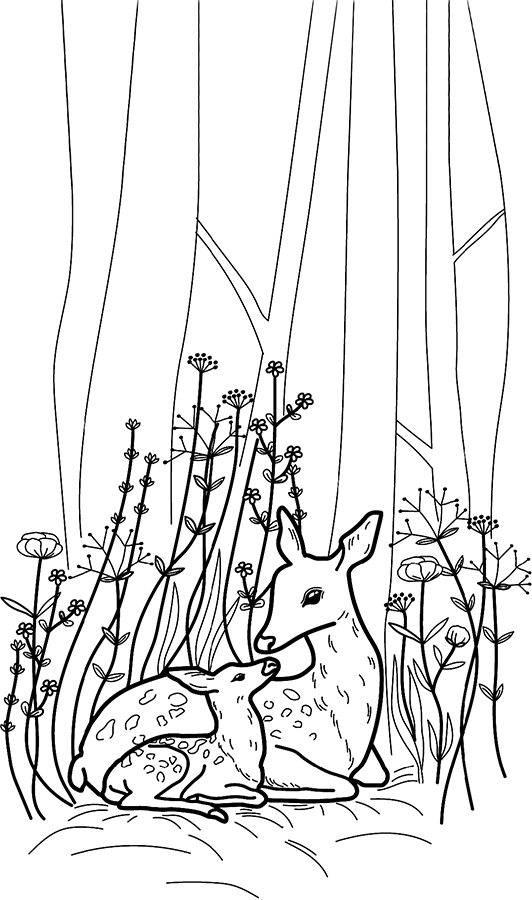 Иллюстрация к книге — Новорожденная мама. 7 шагов к спокойному материнству [img_32.jpg]