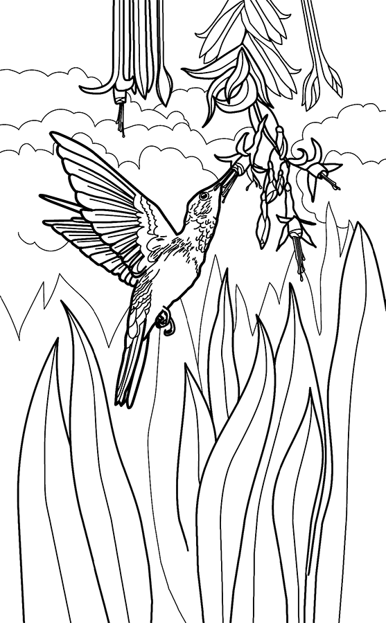 Иллюстрация к книге — Новорожденная мама. 7 шагов к спокойному материнству [img_34.jpg]