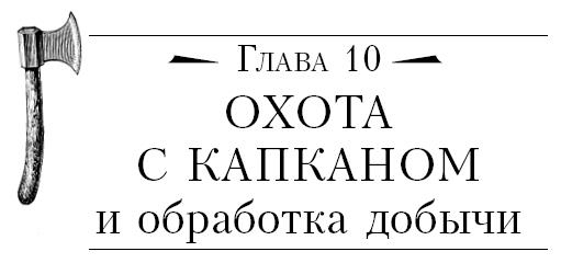 Иллюстрация к книге — Бушкрафт 101. Современное руководство по искусству выживания в дикой природе [i_062.jpg]
