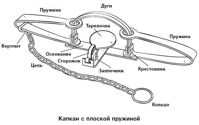 Иллюстрация к книге — Бушкрафт 101. Современное руководство по искусству выживания в дикой природе [i_066.jpg]