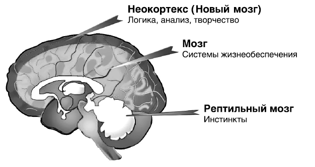 Иллюстрация к книге — Как разумные люди создают безумный мир. Обновлённое издание [i_001.jpg]