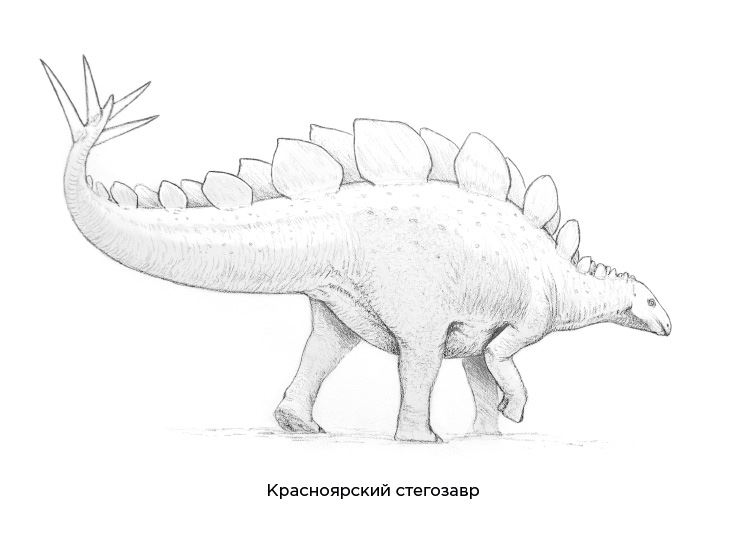 Иллюстрация к книге — Динозавры России. Прошлое, настоящее, будущее [i_007.jpg]