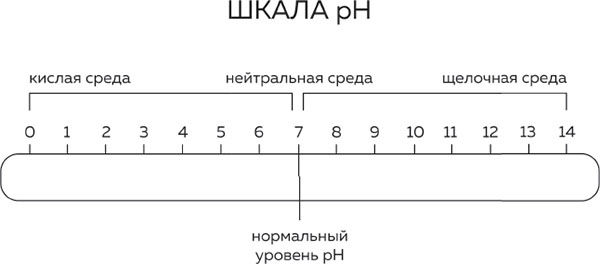 Иллюстрация к книге — Бьюти на всю голову. Все, что нужно знать о современном уходе, инновациях в косметике и уловках индустрии красоты [i_003.jpg]