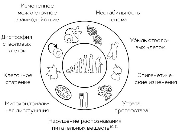 Иллюстрация к книге — Что мы знаем (и не знаем) о еде. Научные факты, которые перевернут ваши представления о питании [i_002.jpg]