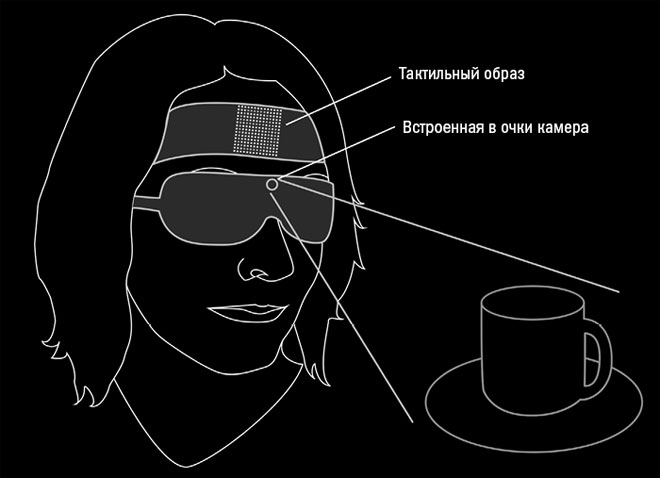 Иллюстрация к книге — Живой мозг. Удивительные факты о нейропластичности и возможностях мозга [img_21.jpg]
