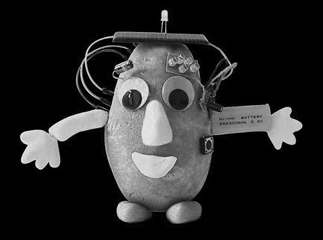 Иллюстрация к книге — Живой мозг. Удивительные факты о нейропластичности и возможностях мозга [img_29.jpg]