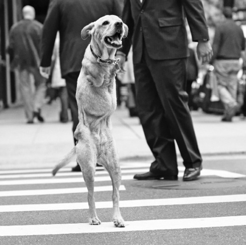 Иллюстрация к книге — Живой мозг. Удивительные факты о нейропластичности и возможностях мозга [img_33.jpg]