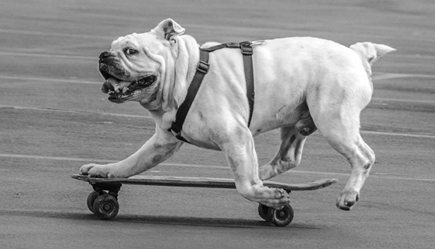 Иллюстрация к книге — Живой мозг. Удивительные факты о нейропластичности и возможностях мозга [img_34.jpg]