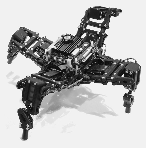 Иллюстрация к книге — Живой мозг. Удивительные факты о нейропластичности и возможностях мозга [img_37.jpg]