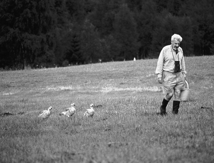 Иллюстрация к книге — Живой мозг. Удивительные факты о нейропластичности и возможностях мозга [img_57.jpg]