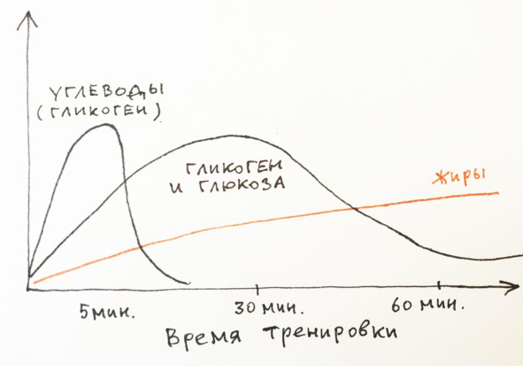 Иллюстрация к книге — 9 шагов здоровой потери веса. Наука похудения без мифов и голодовки [image7_5e92e5fc6e87300700f4bb97_jpg.jpg]