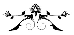 Иллюстрация к книге — Дикие Земли [i_001.jpg]