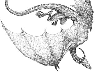 Иллюстрация к книге — Ярость огня [i_017.jpg]