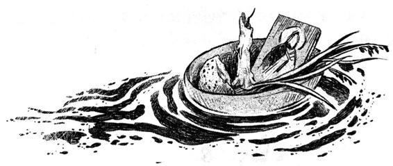 Иллюстрация к книге — Кошачья голова [i_046.jpg]