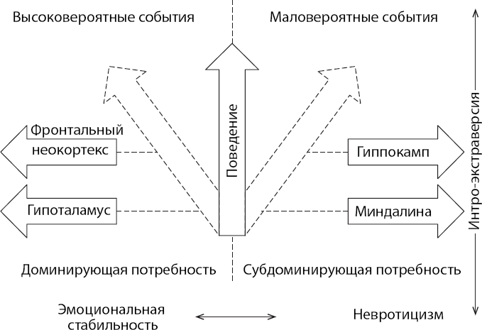 Иллюстрация к книге — Мотивированный мозг. Высшая нервная деятельность и естественно-научные основы общей психологии [i_027.jpg]